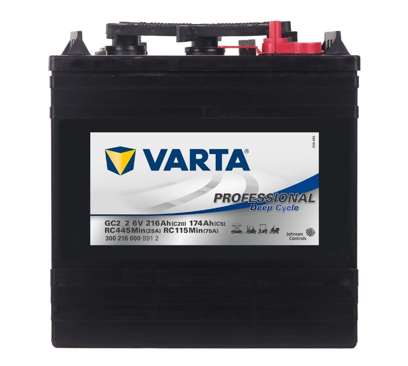 Imagen de Batería VARTA GC2-2 Professional Deep Cycle