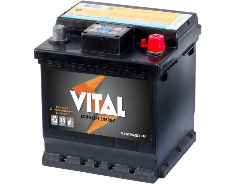 Imagen de VITAL STARTER 54018