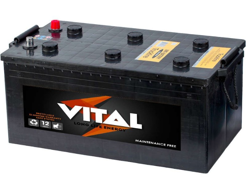 Imagen de VITAL Truck 70027