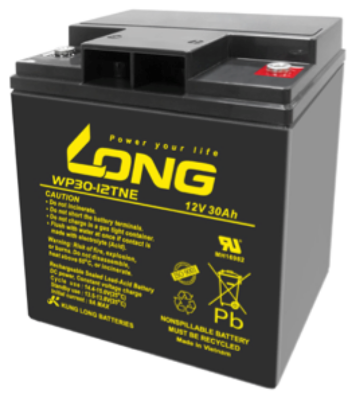 Imagen de LONG WP30-12TNE AGM Cíclica