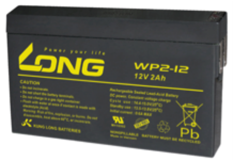 Imagen de LONG WP2-12 AGM Cíclica