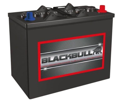 Imagen de Batería BLACKBULL 12TB110 Tubular