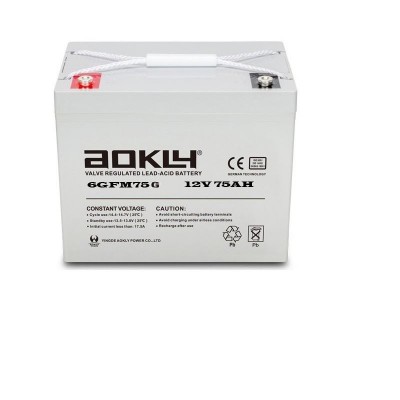 Imagen de Batería AOKLY 6GFM75G GEL Ciclo profundo