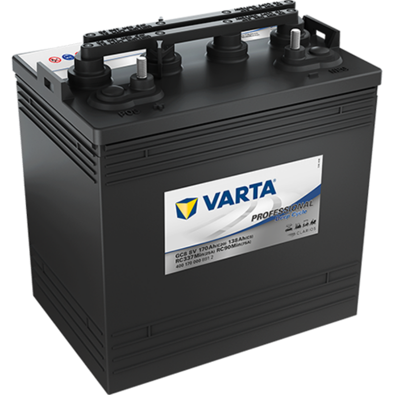 Imagen de Batería VARTA GC8 Professional Deep Cycle