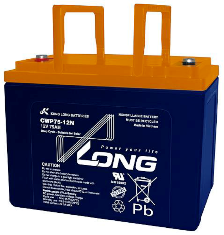 Imagen de LONG WP75-12NE AGM Cíclica