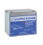 Imagen de Bateria NX Enérgies Litio LiFeP04 65Ah 12,8V
