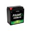 Imagen de Batería FULBAT FTX20A-BS GEL 