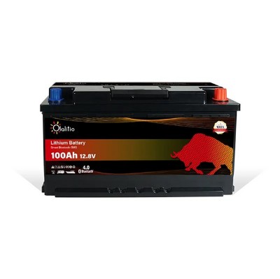 Imagen de Batería VT 6DZM50 AGM Ciclica