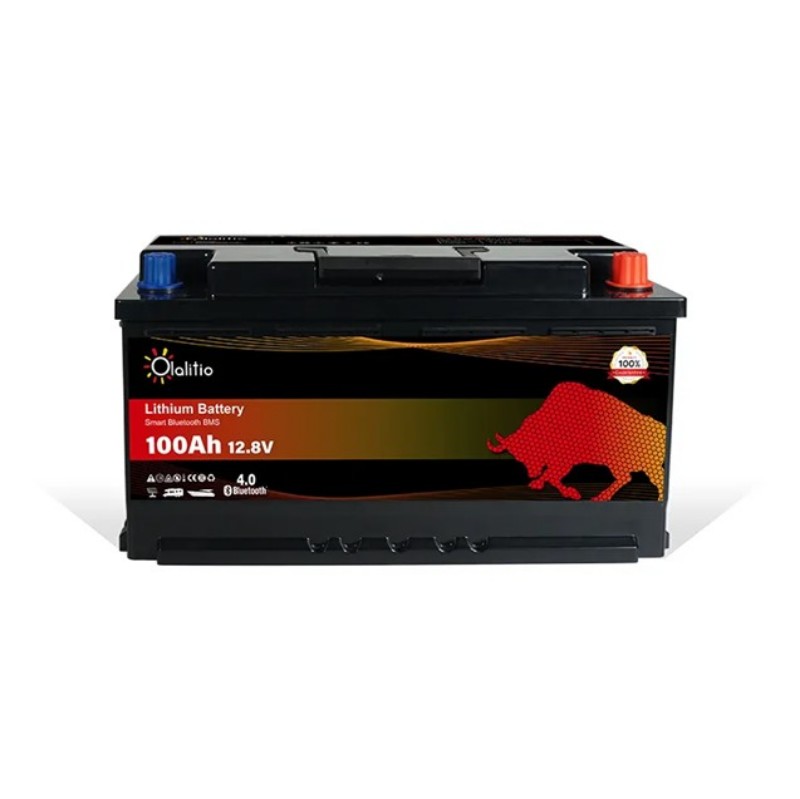 Imagen de Batería VT 6DZM50 AGM Ciclica