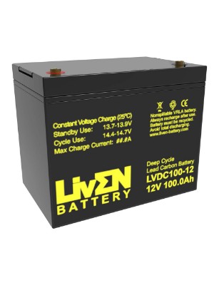Imagen de BATERÍA LIVEN Carbono Ciclica LVDC100-12 12V 100Ah