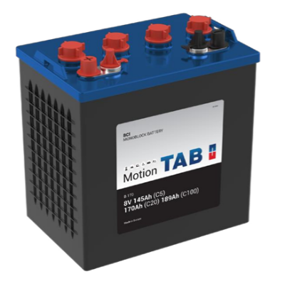 Imagen de BATERÍA TAB Traction B 170 8V 170Ah