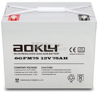 Imagen de BATERÍA AOKLY AGM 6GFM75 12V 75Ah